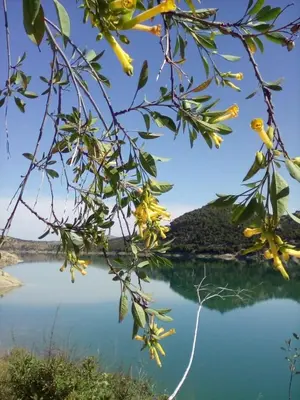 Paisaje cerca de este apartamento