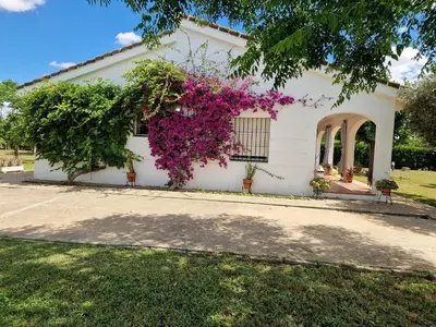 Jardín al aire libre en Casa en el campo cerca de sevilla