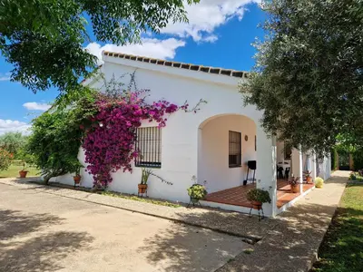 Edificio en el que se encuentra la casa o chalet