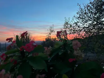 Amanecer o atardecer desde la casa o chalet o alrededores