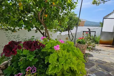 Paisaje cerca de esta casa o chalet