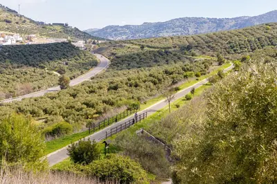 Paisaje cerca de este apartamento