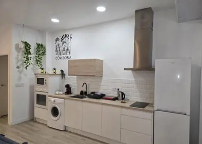 Una cocina o zona de cocina en Loft La Parada Córdoba