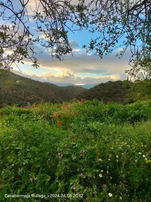Paisaje cerca de esta habitación en casa particular