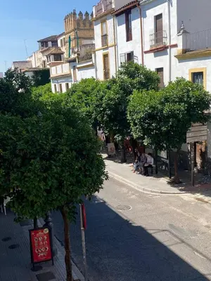 El barrio de los alrededores o un barrio cerca de esta habitación en casa particular