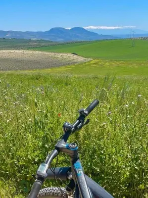 Paisaje cerca de esta villa