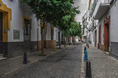 El barrio de los alrededores o un barrio cerca de este apartamento