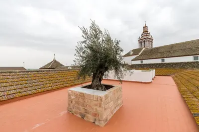 Plano de Casa Palacio de la Carrera Olehousing