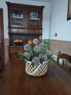 Plano de Como en casa
