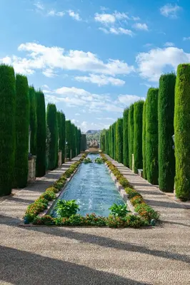 Jardín al aire libre en Juderia
