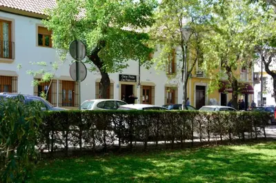 Jardín al aire libre en Casa Patio las Palmeras Córdoba con piscina