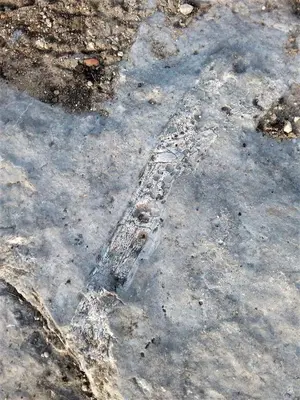 Plano de Ctro de Naturaleza Cañada Verde 