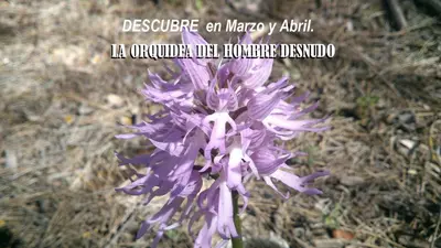 Plano de Ctro de Naturaleza Cañada Verde 