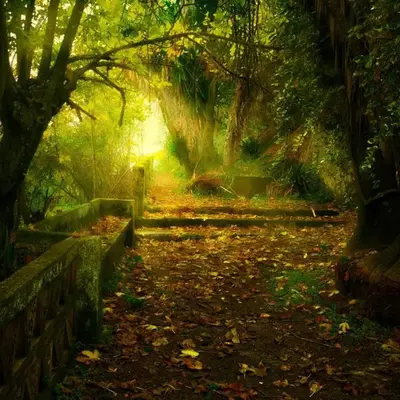 Ctro de Naturaleza Cañada Verde 