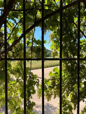 Plano de El Patio del Molino - Hostal Rural