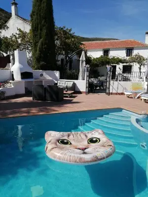 Piscina en o cerca de Hacienda la Suerte