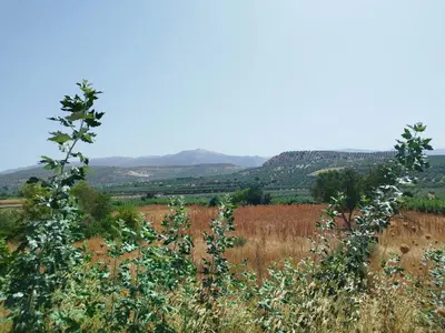 Paisaje cerca de esta casa o chalet