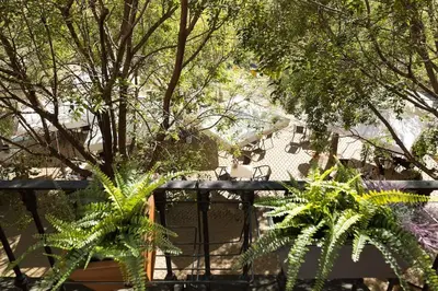 Jardín al aire libre en Acogedor estudio en Alameda Centro