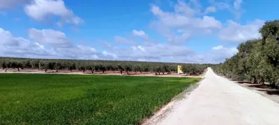 Paisaje cerca de este bed & breakfast