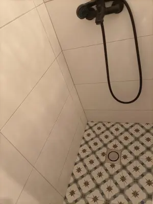 Un baño de La madrileña 2