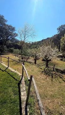 Paisaje cerca de esta casa o chalet