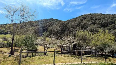 Paisaje cerca de esta casa o chalet