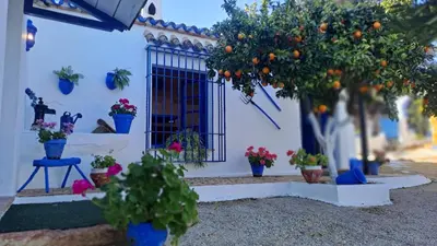 Jardín al aire libre en Casa de Ángel Balconcillo a La Subbética