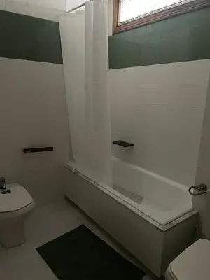 Un baño de Los Magnolios SXXI