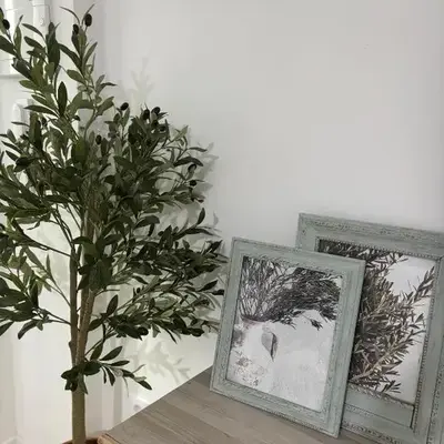 El Olivo Verde