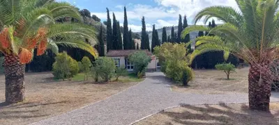 Jardín al aire libre en Casita Higo