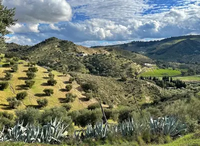 Paisaje cerca de esta casa o chalet
