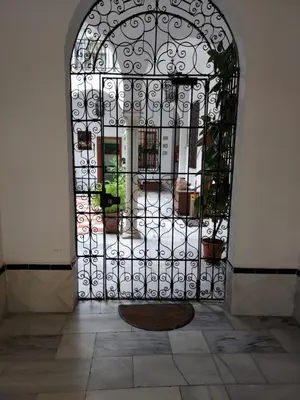 Patio Sevillano Flores en invierno