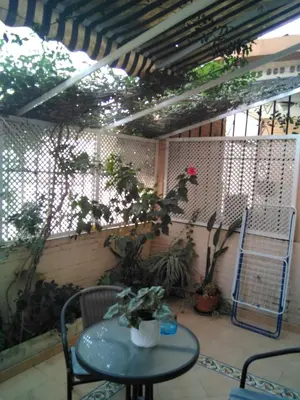 Un patio o zona al aire libre en Cozy and charming house in Sevilla