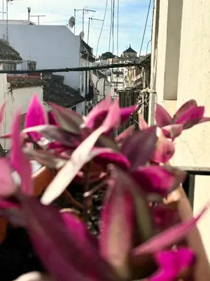 Un balcón o terraza de La buganvilla De Santiago