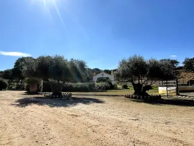 Paisaje cerca de esta casa o chalet