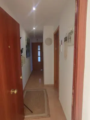 Plano de Olivia