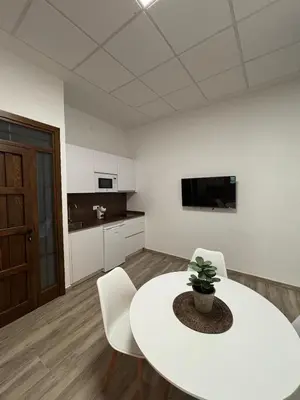 Una televisión o centro de entretenimiento en Loft Plaza