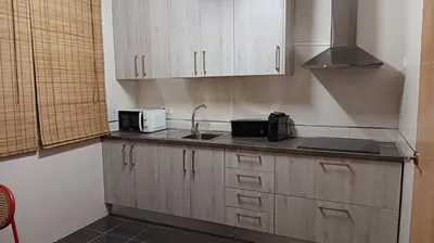 Una cocina o zona de cocina en Centro Linares Santiago B&A