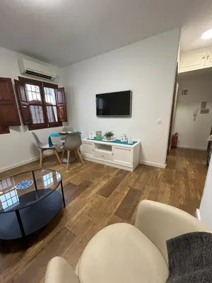 Una televisión o centro de entretenimiento en Apartamento Marques del Villar