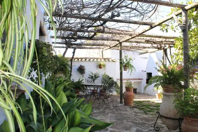 Jardín al aire libre en Cortijo el Morrón - Casa Rural