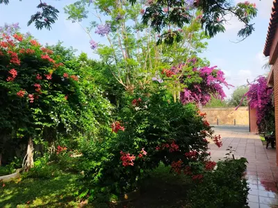 Jardín al aire libre en Precioso chalet próximo a Sevilla con jardín y piscina privada 8 personas Wifi gratis 2 salones 4 dormitorios 2 baños