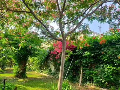 Jardín al aire libre en Precioso chalet próximo a Sevilla con jardín y piscina privada 8 personas Wifi gratis 2 salones 4 dormitorios 2 baños