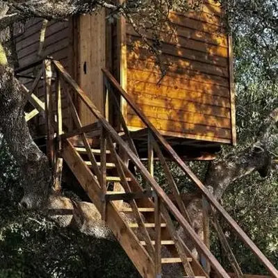 Cabaña del árbol Lavagarural