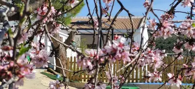 Jardín al aire libre en Casa de Andres