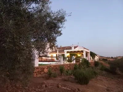 Edificio en el que se encuentra la casa o chalet