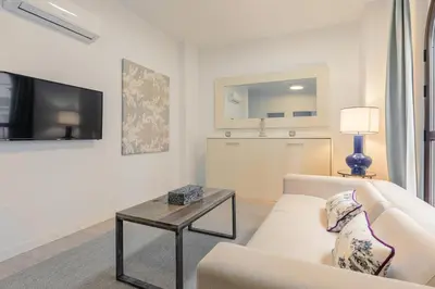 Una televisión o centro de entretenimiento en Green-Apartments Pleno Centro