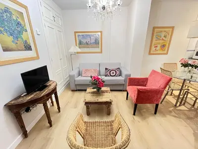 Una televisión o centro de entretenimiento en Apartamentos RG calle Santiago 46