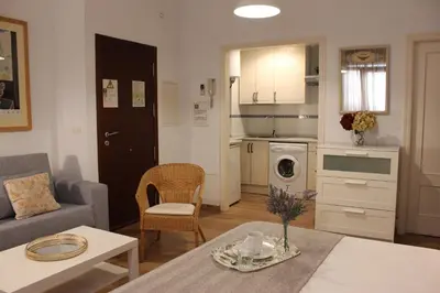 Una cocina o zona de cocina en Apartamentos RG calle Santiago 46
