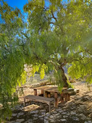 Plano de Cortijo La Pedriza