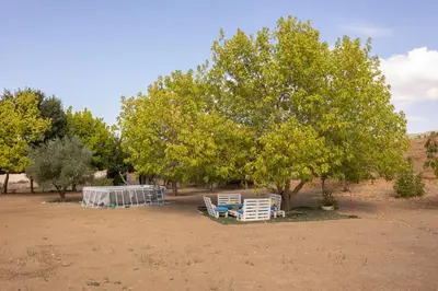Jardín al aire libre en La casita del Abuelo